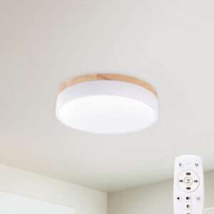 Plafón LED 24W 2493Lm Mando a Distancia (Intensidad-CCT) 10.000H