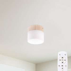 Plafón LED 9W 852Lm Mando a Distancia (Intensidad-CCT) 10.000H